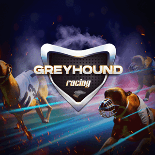 Virtual Greyhounds screenshozy